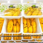 Durian express delivery blog