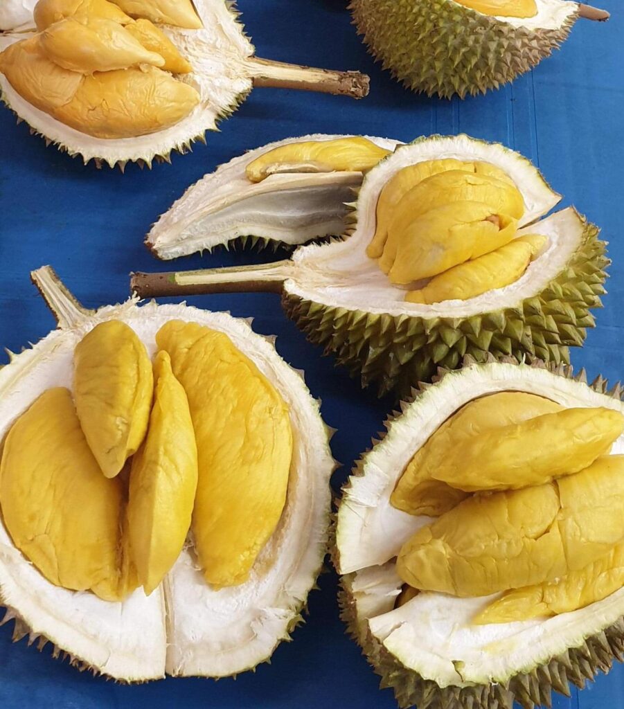 Durian price singapore