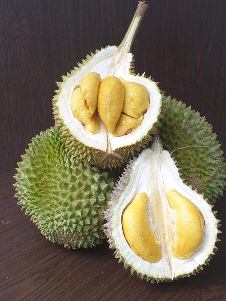 Dempsey durian delivery