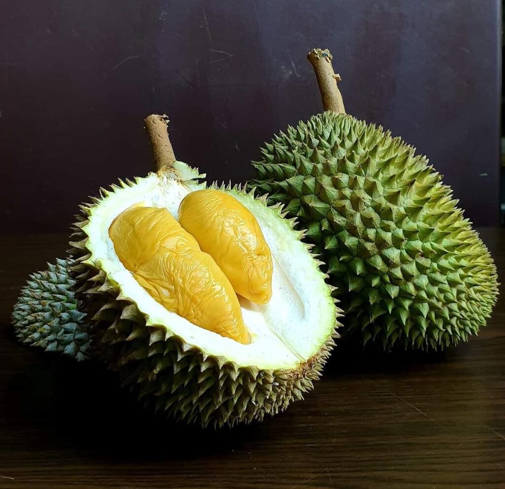 Pasir ris durian