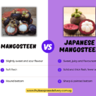 Mangosteen