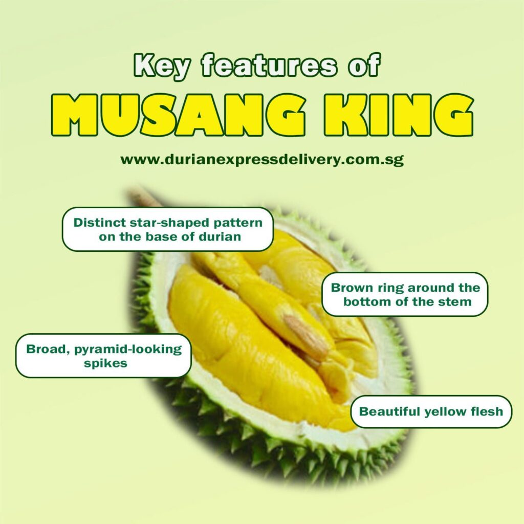 Mao Shan Wang Durian – Ways To Spot The Real Stuff Mao shan wang durian,猫山王