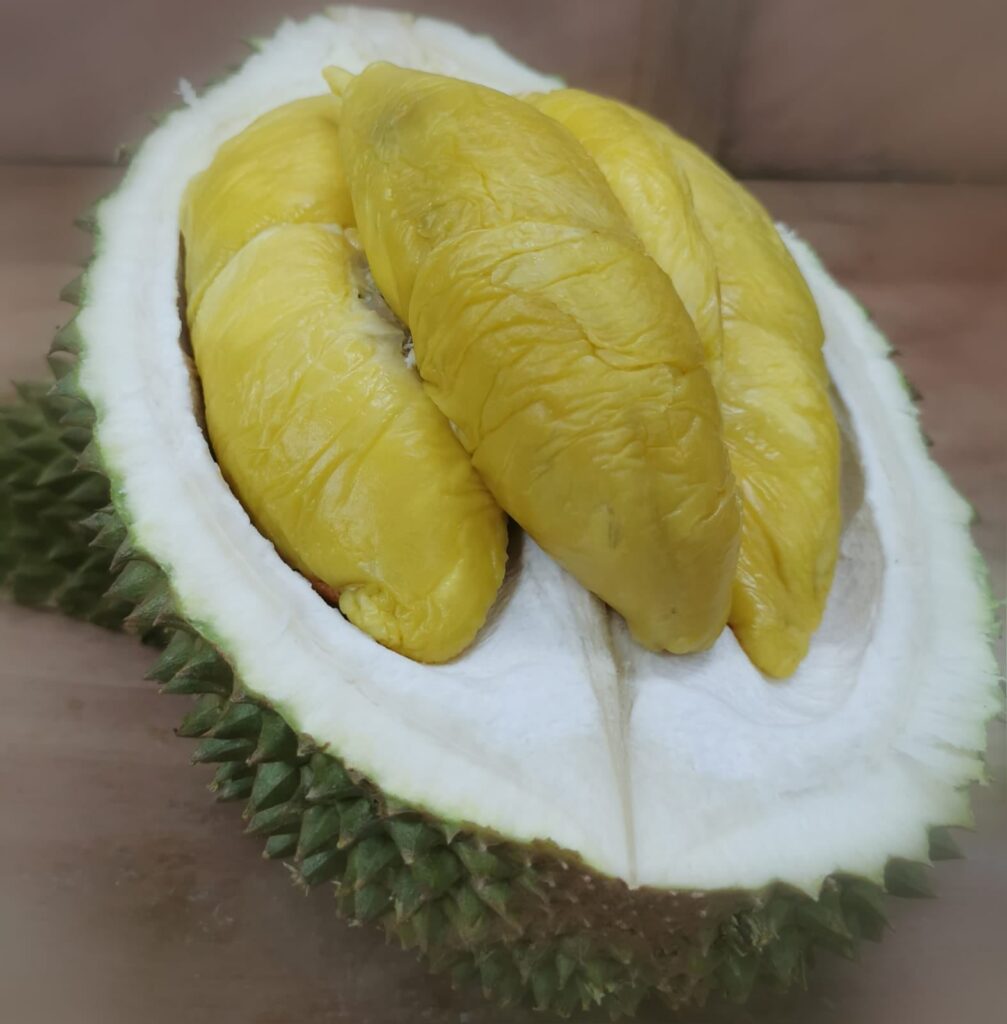 Geylang durian