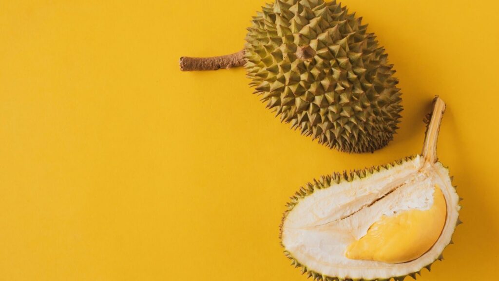 Durian immune system