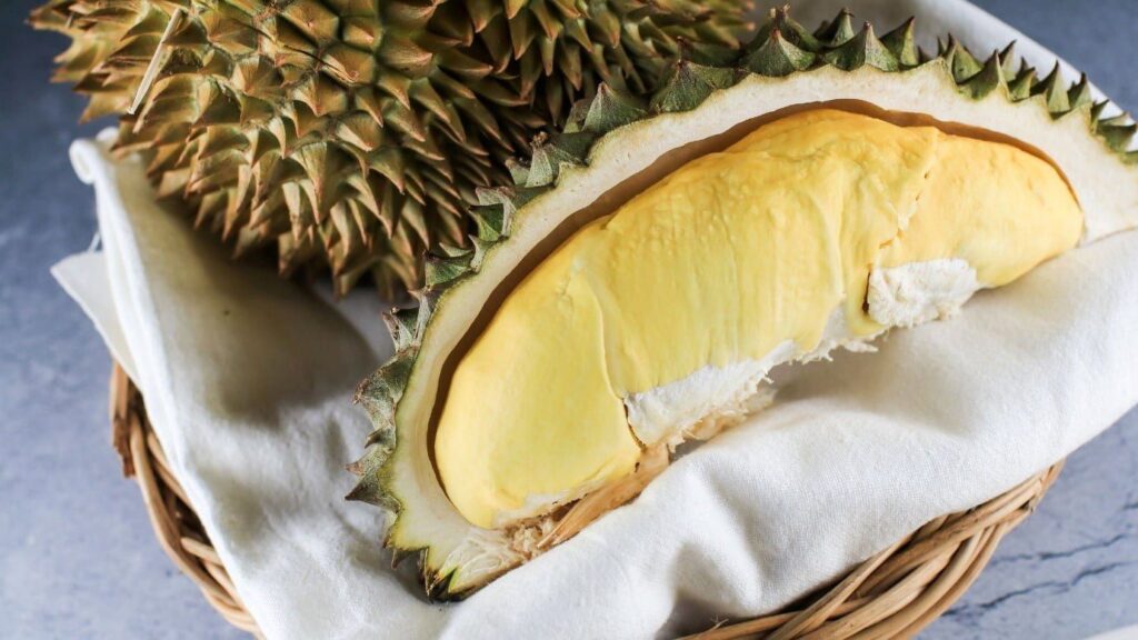 Durian immune system