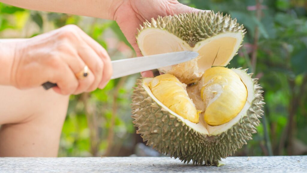 Unlocking The Flavor Of D13 Durian: A Guide To The Perfect Bite D13 durian flavor guide