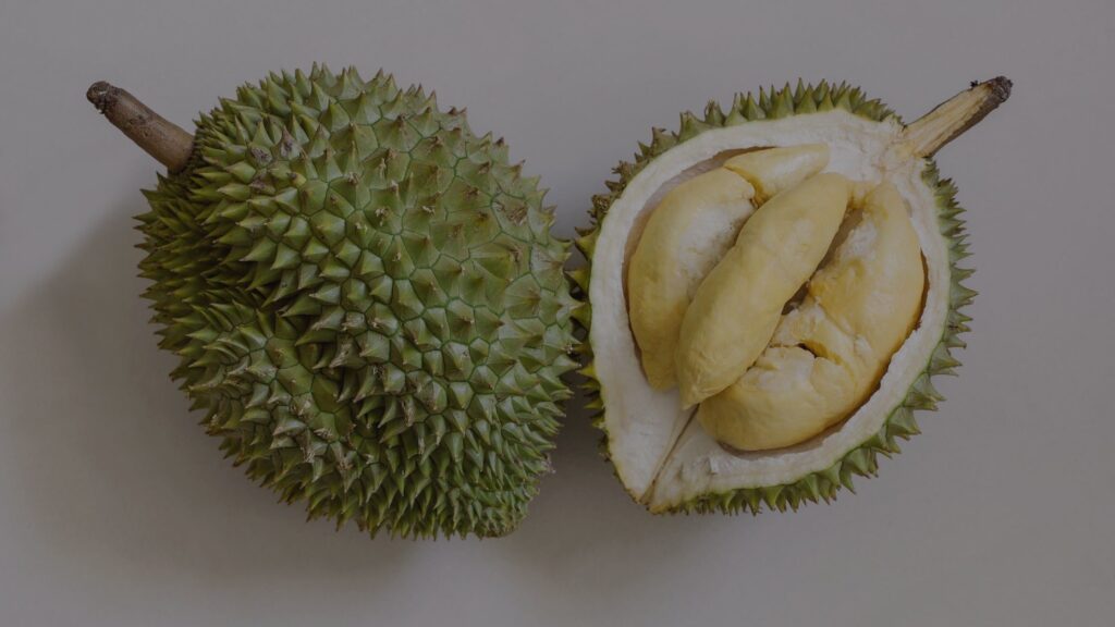 Durian tasting,exotic durian varieties