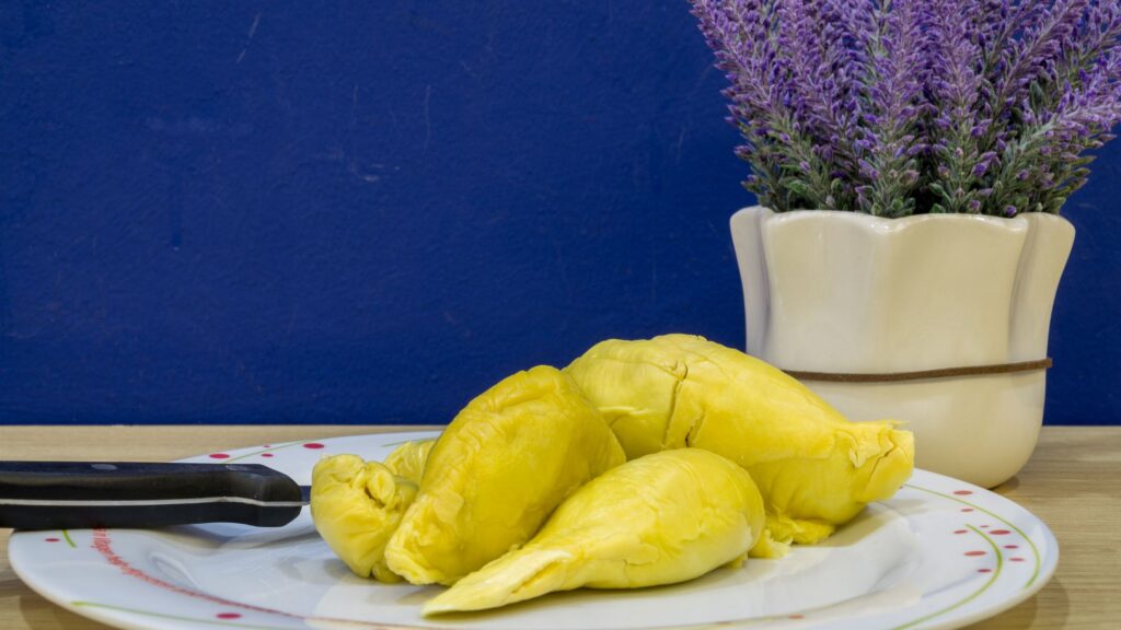 Musang king durian cultivar