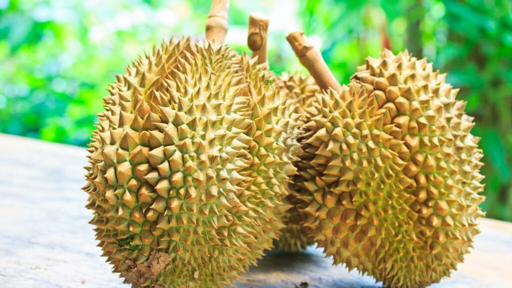 King of fruits
