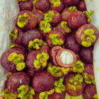 Indonesia Premium Mangosteen Indonesia premium mangosteen