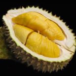 Types | Durian Express Delivery