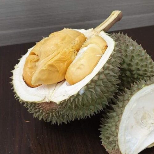Buy Fresh Black Thorn Durian Online in Singapore Durian Express Delivery