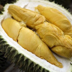 Ready to Eat Durian Delivery | Durian Express Delivery