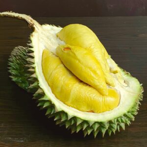 Durian black thorn harga