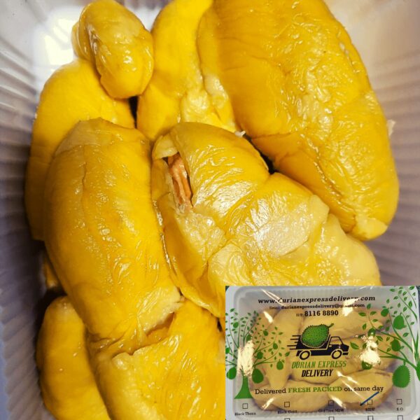 Durian express delivery,home page