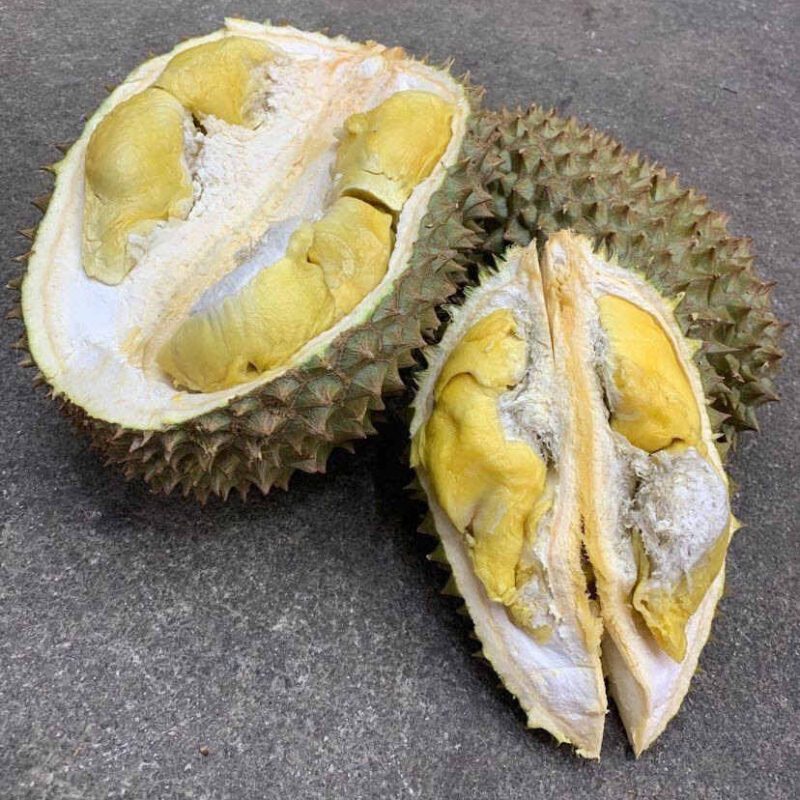 Ghim Moh Durian Tips