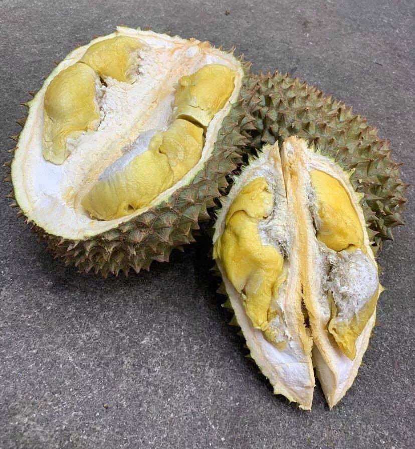 Ghim moh durian tips