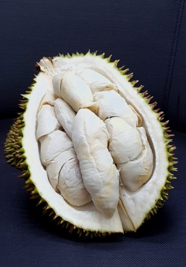 Black pearl durian | durian express delivery