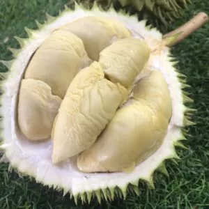 Durian Price Singapore | Durian Express Delivery