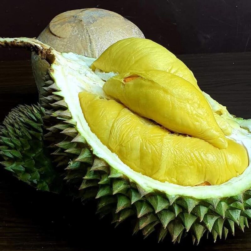 durian pricing guide
