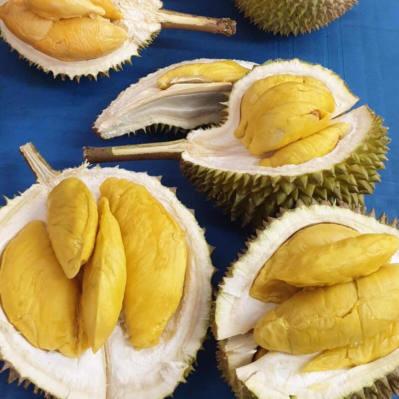 Durian Price Singapore
