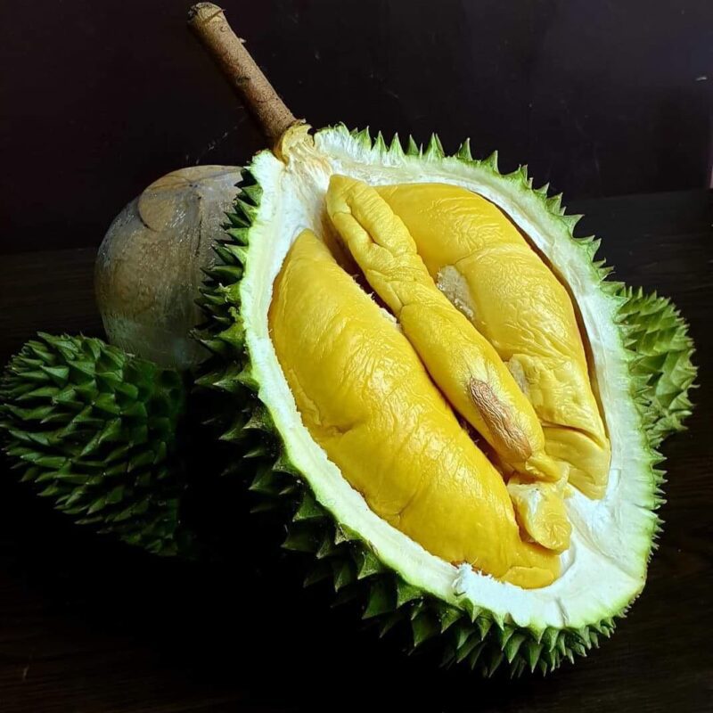chong pang durian | Durian Express Delivery