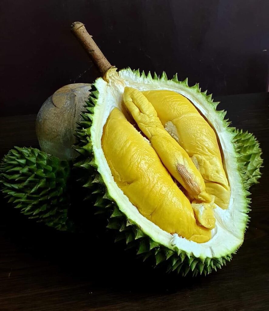chong pang durian | Durian Express Delivery