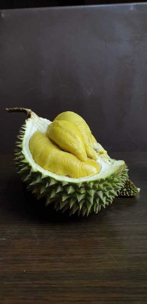 Balestier Durian Delivery | Durian Express Delivery
