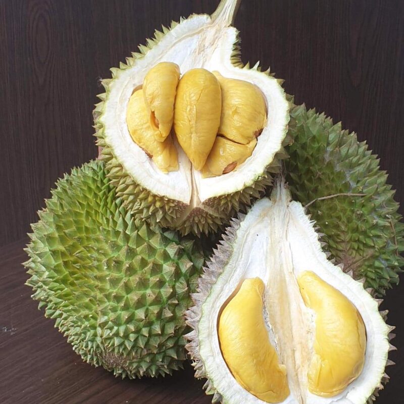 Dempsey Durian Delivery | Durian Express Delivery