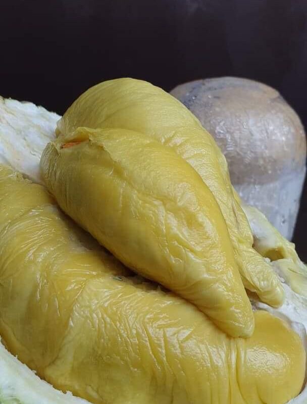 Hougang Durian