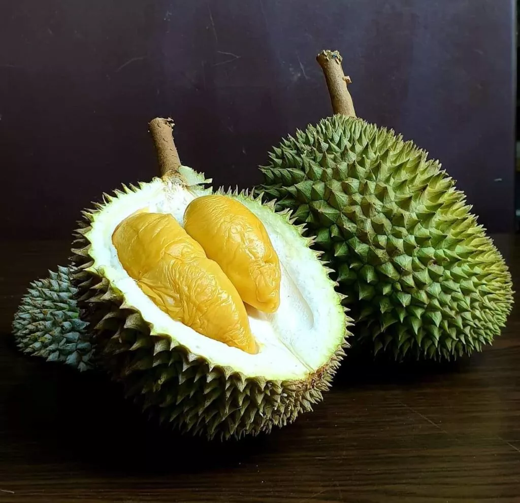 Pasir ris durian