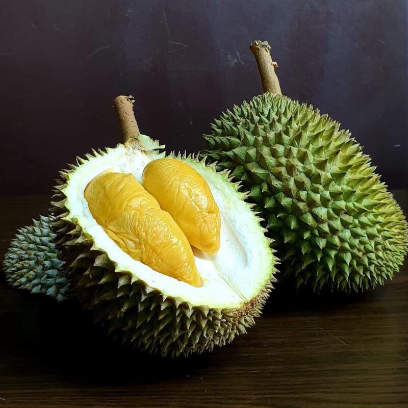 Pasir Ris Durian