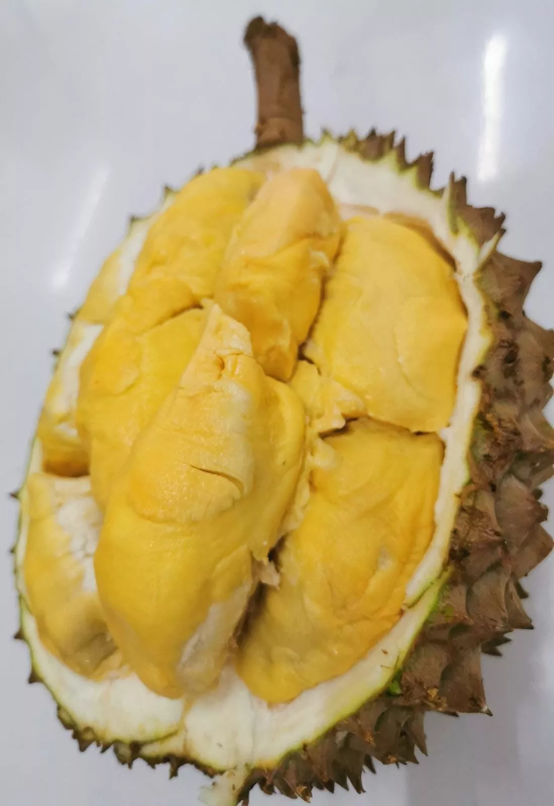 Butter king durian