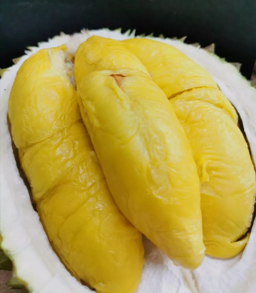 Pasir ris durian