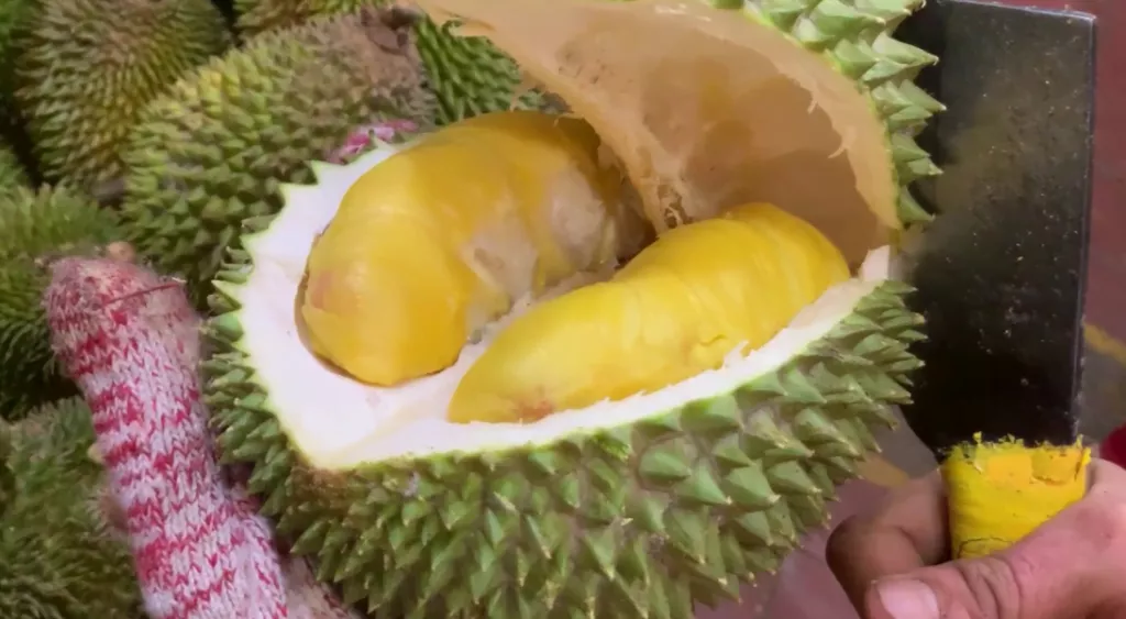 Durian stall in pasir ris | pasir ris durian delivery
