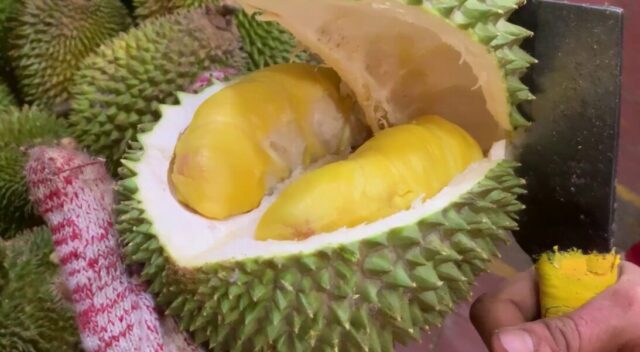 Discover Durian Express Delivery: Unlock the Ultimate Indulgence