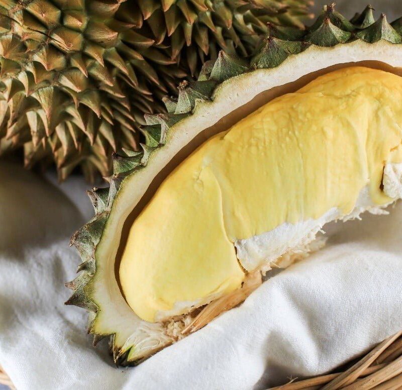 Durian Immune System