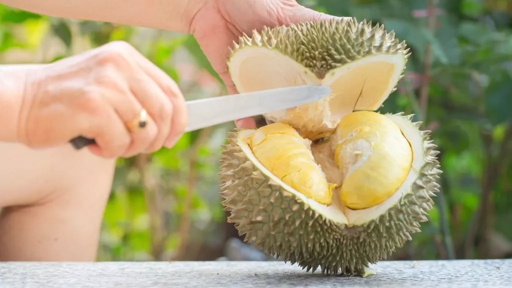 D13 durian flavor guide