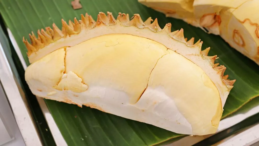 Best durian puree