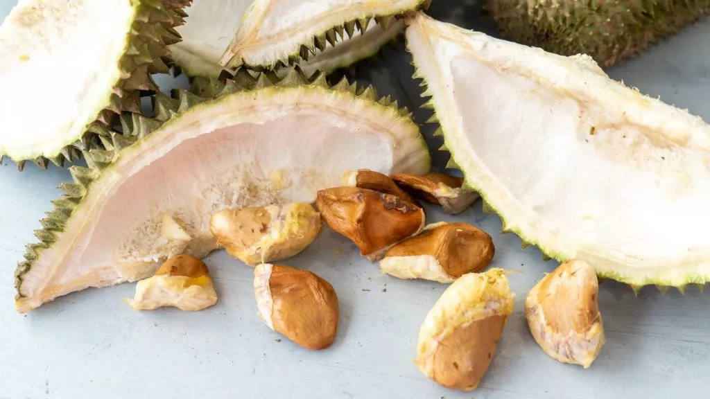 D13 durian flavor guide