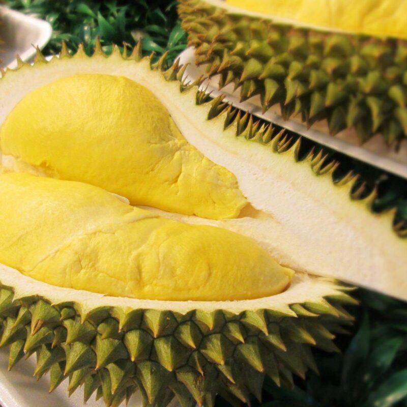 Durian Tasting