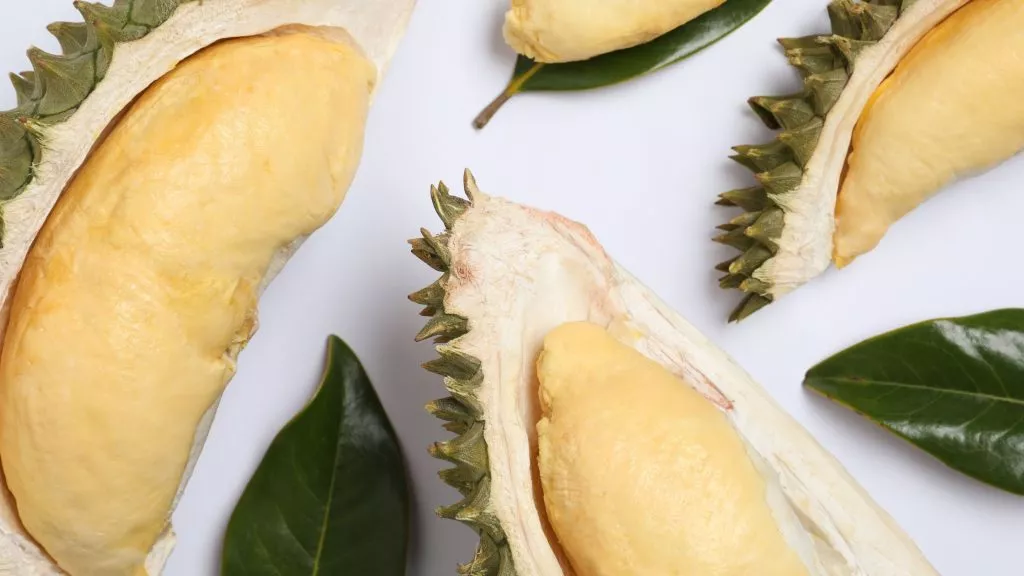 Musang king durian cultivar