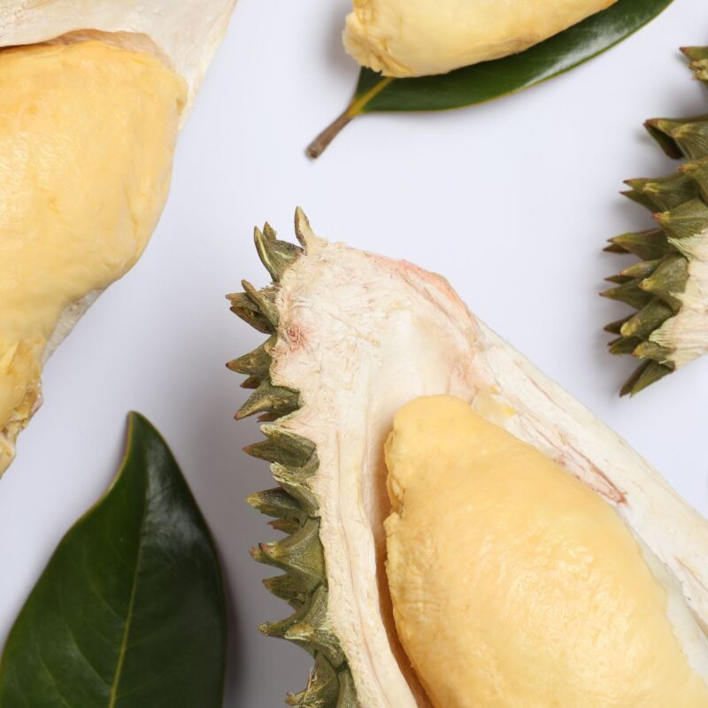 Musang King Durian Cultivar