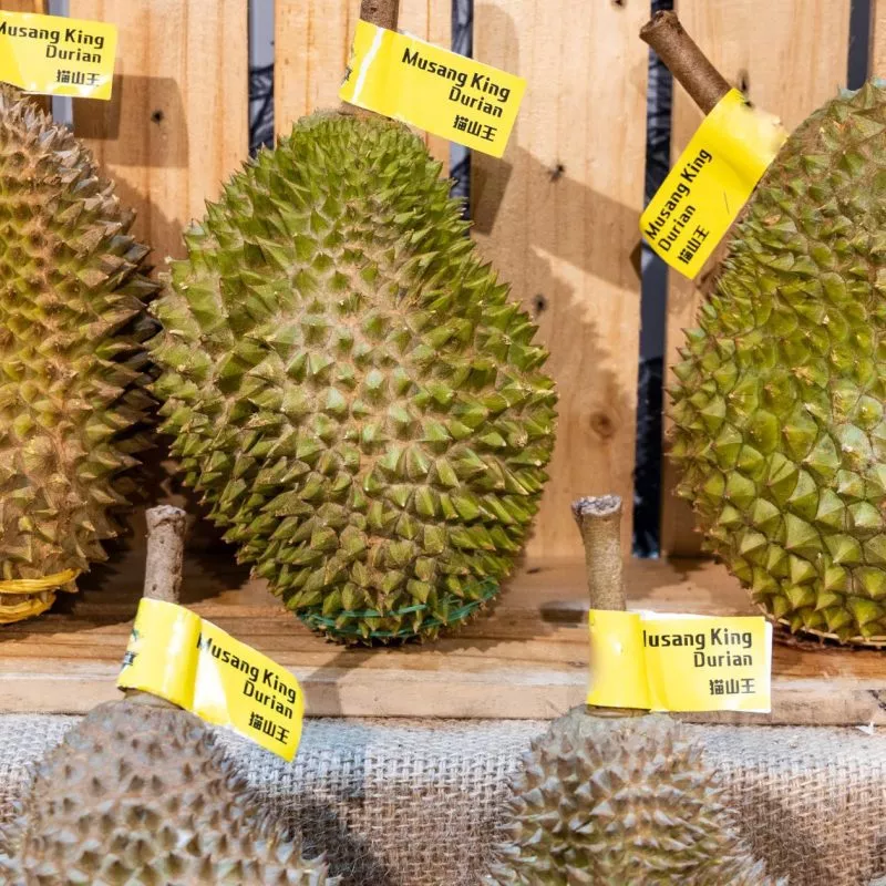 Durian Delivery Services for Home Parties
