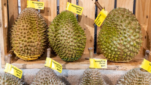 Durian Delivery Services for Your Durian Party at Home