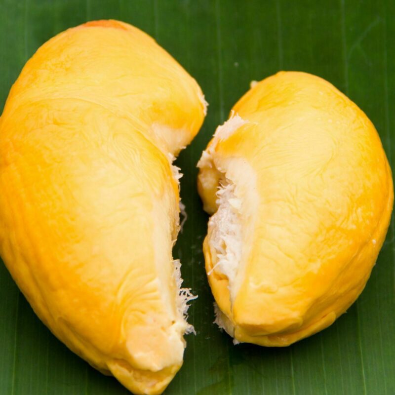Musang King Durian