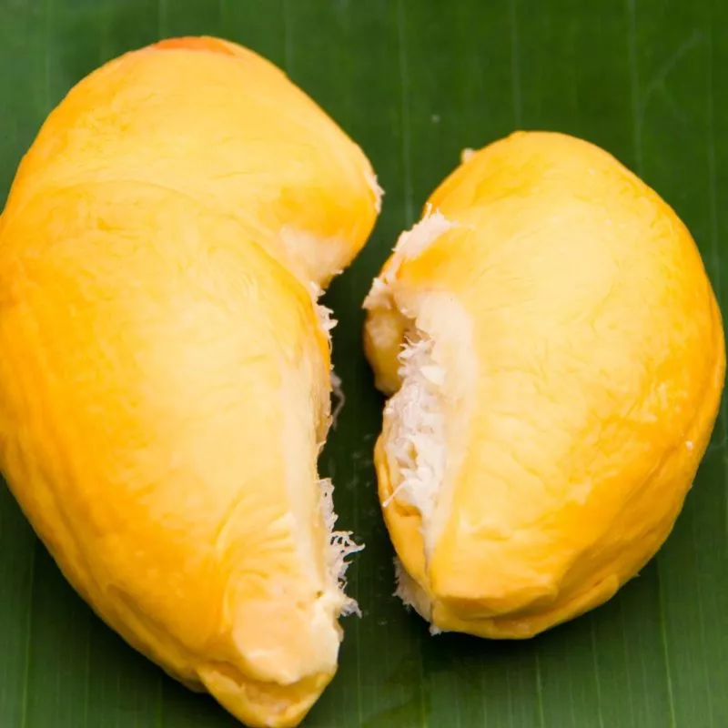 Musang King Durian