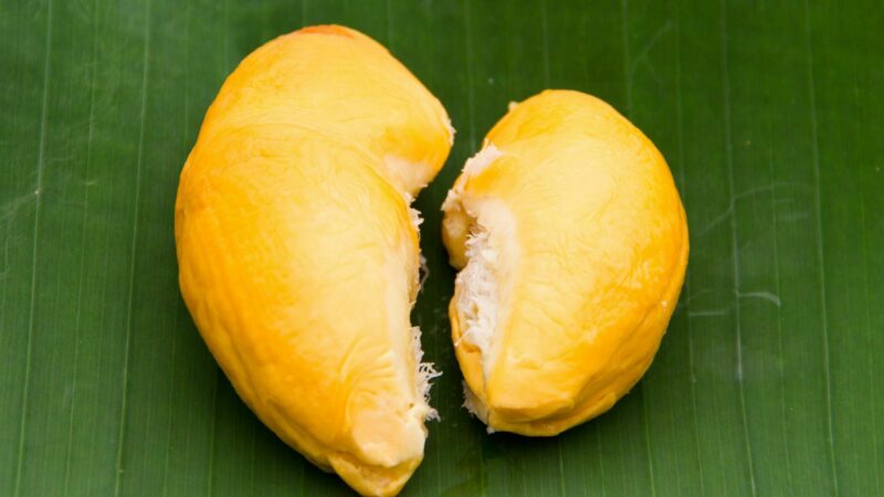 Musang King Durian – Exploring Its Exquisite Taste