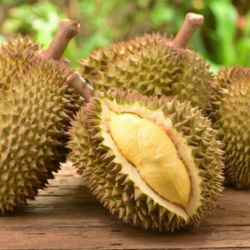 Health Benefits of Green Skin King Durians