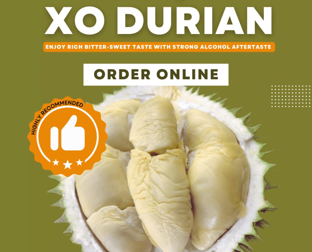 Xo durian,xo durian versus d24